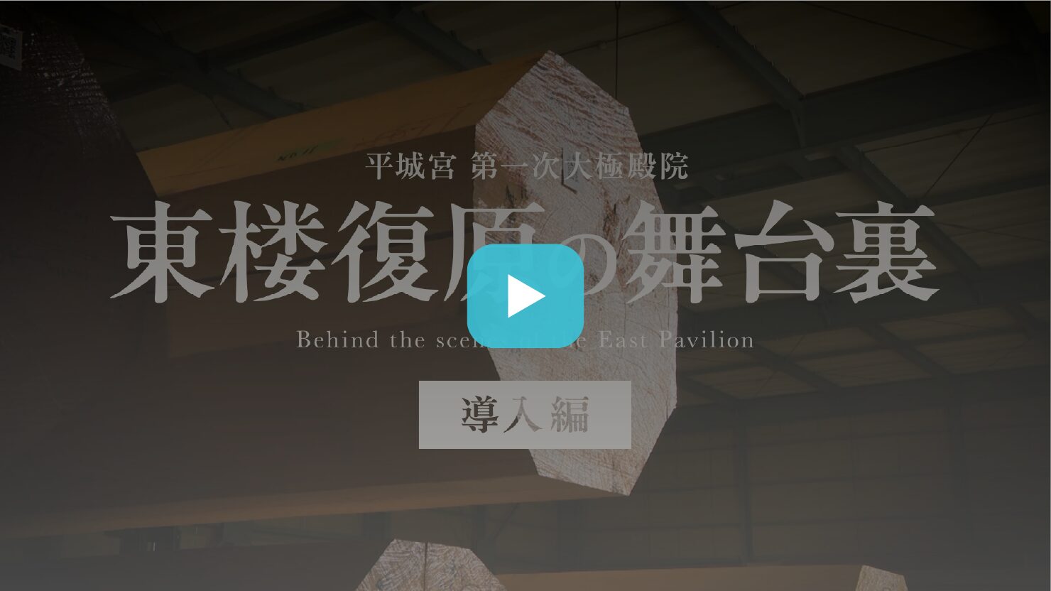 独立行政法人国立文化財機構 奈良文化財研究所 様