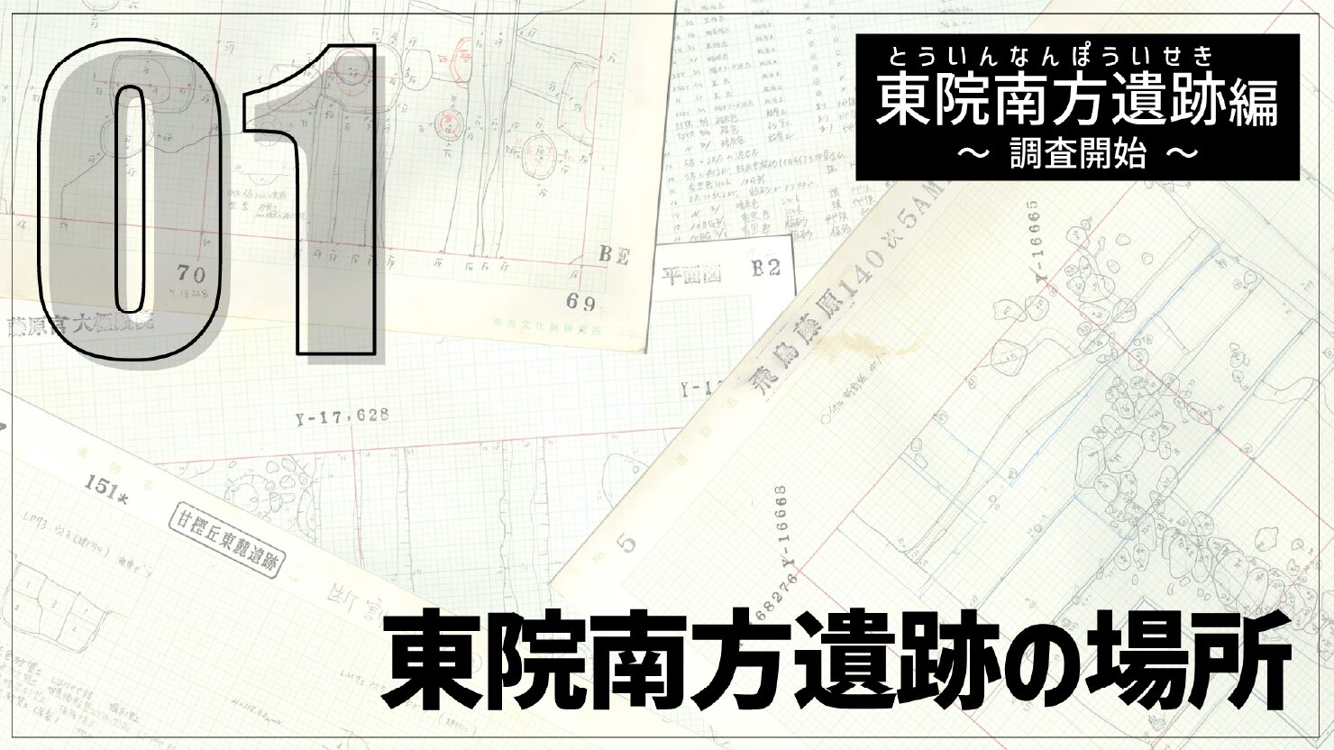 独立行政法人国立文化財機構 奈良文化財研究所 様