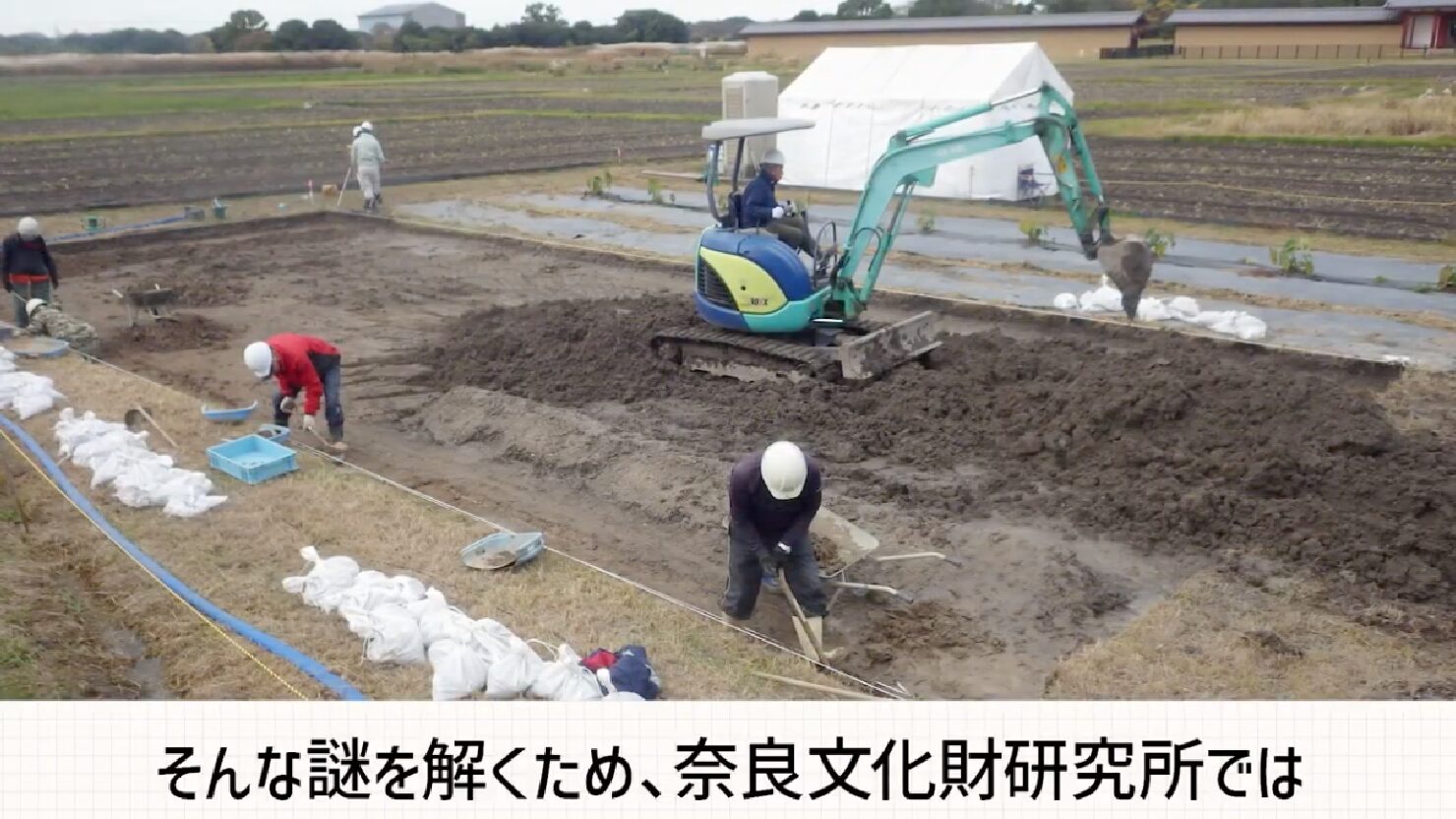独立行政法人国立文化財機構 奈良文化財研究所 様